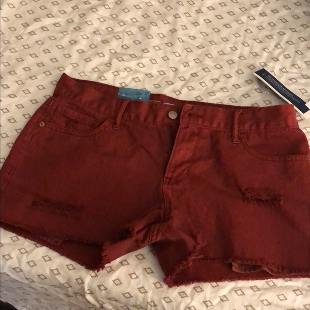 Shorts - Picture 2 of 2